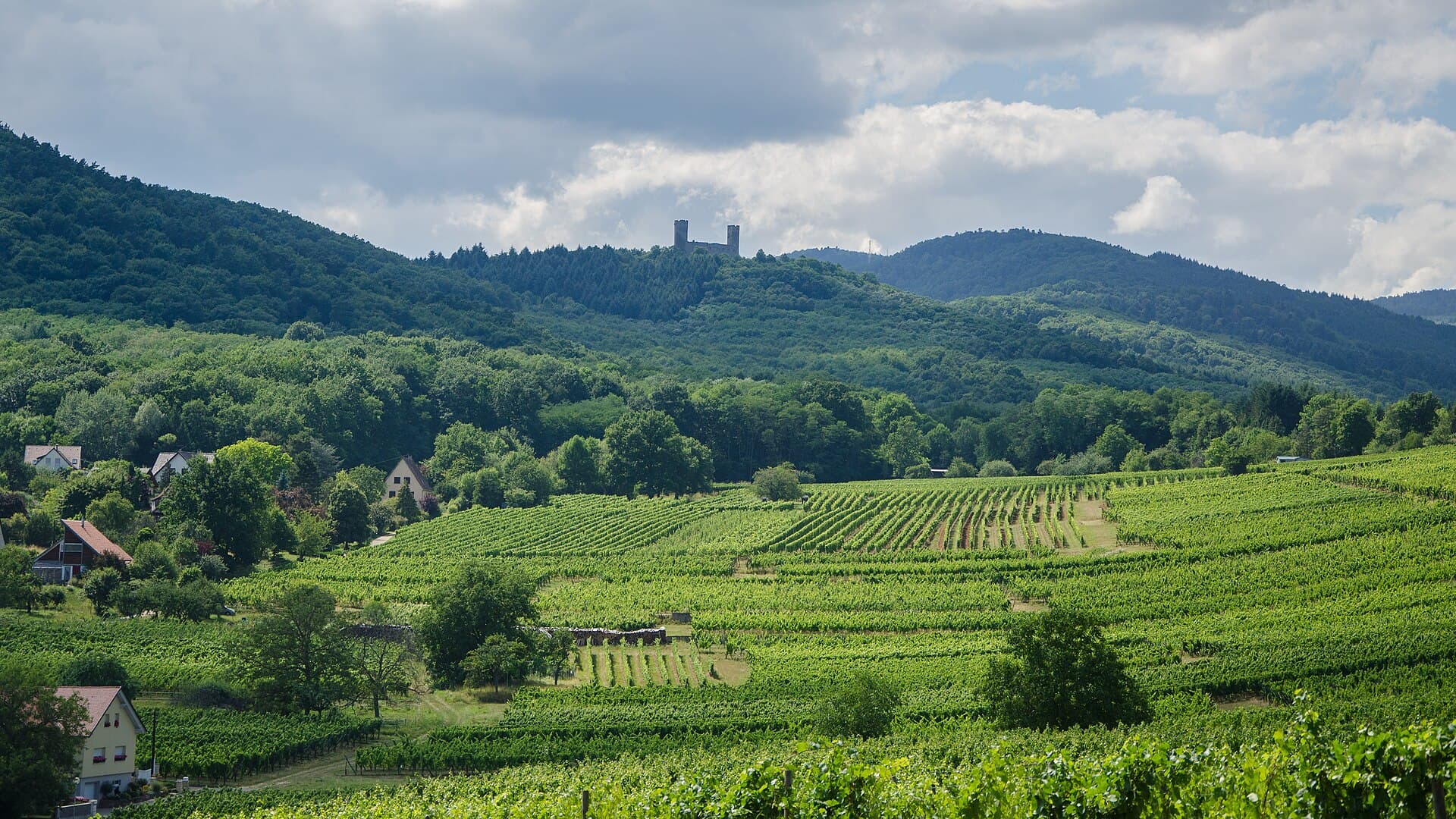 Château d'Andlau — château à Andlau, Bas-Rhin, intérieur, classé mh