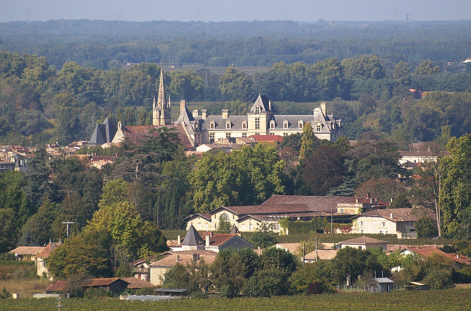 Château de Cadillac