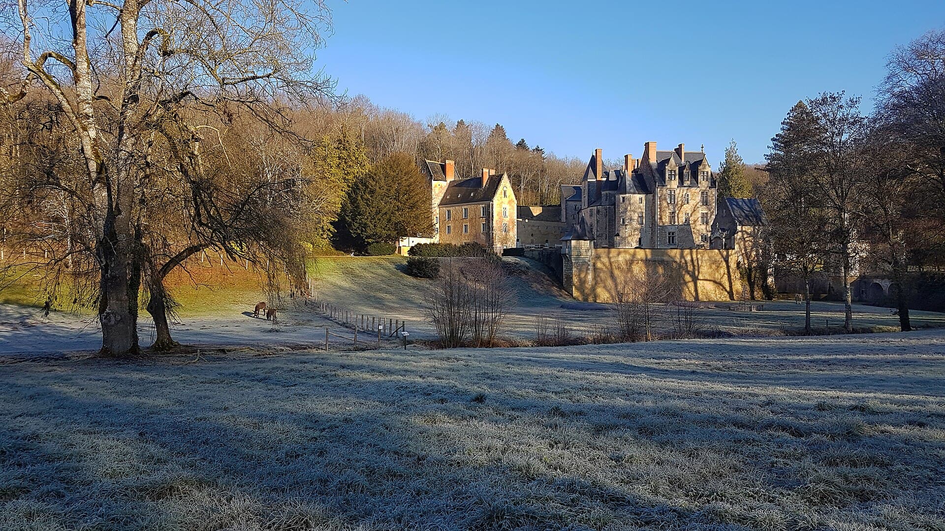 Château de Courtanvaux — château à Bessé-sur-Braye, Sarthe, façade, classé mh