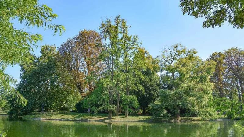 Bois de Boulogne