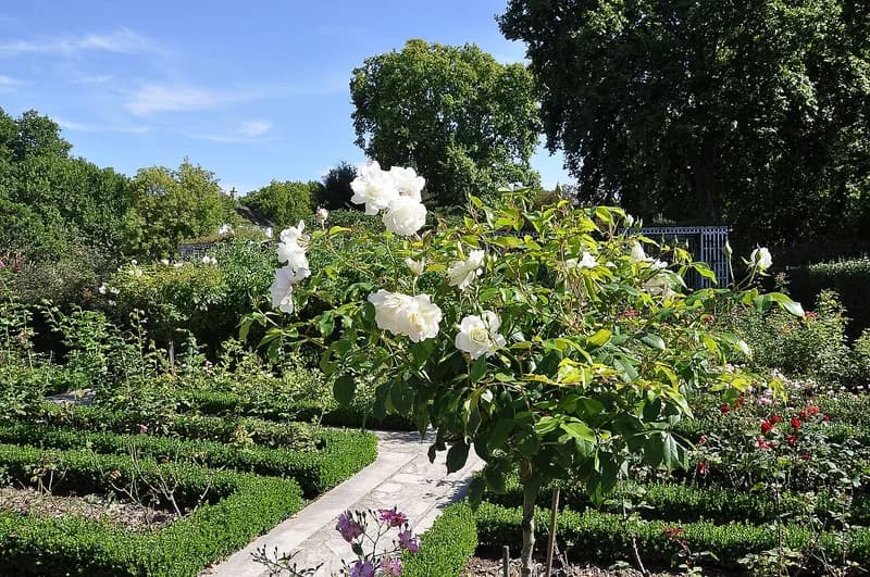 Parc de Bercy