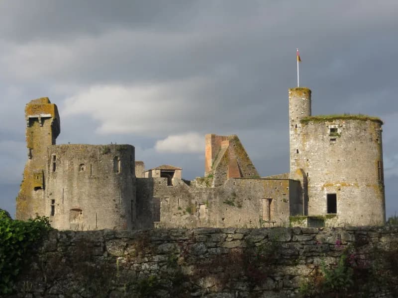 Château de Clisson — château à Clisson, Loire-Atlantique, intérieur, classé mh