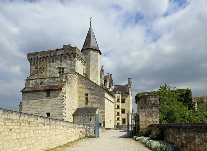 Château de Montsoreau — château à Montsoreau, Maine-et-Loire, classé mh