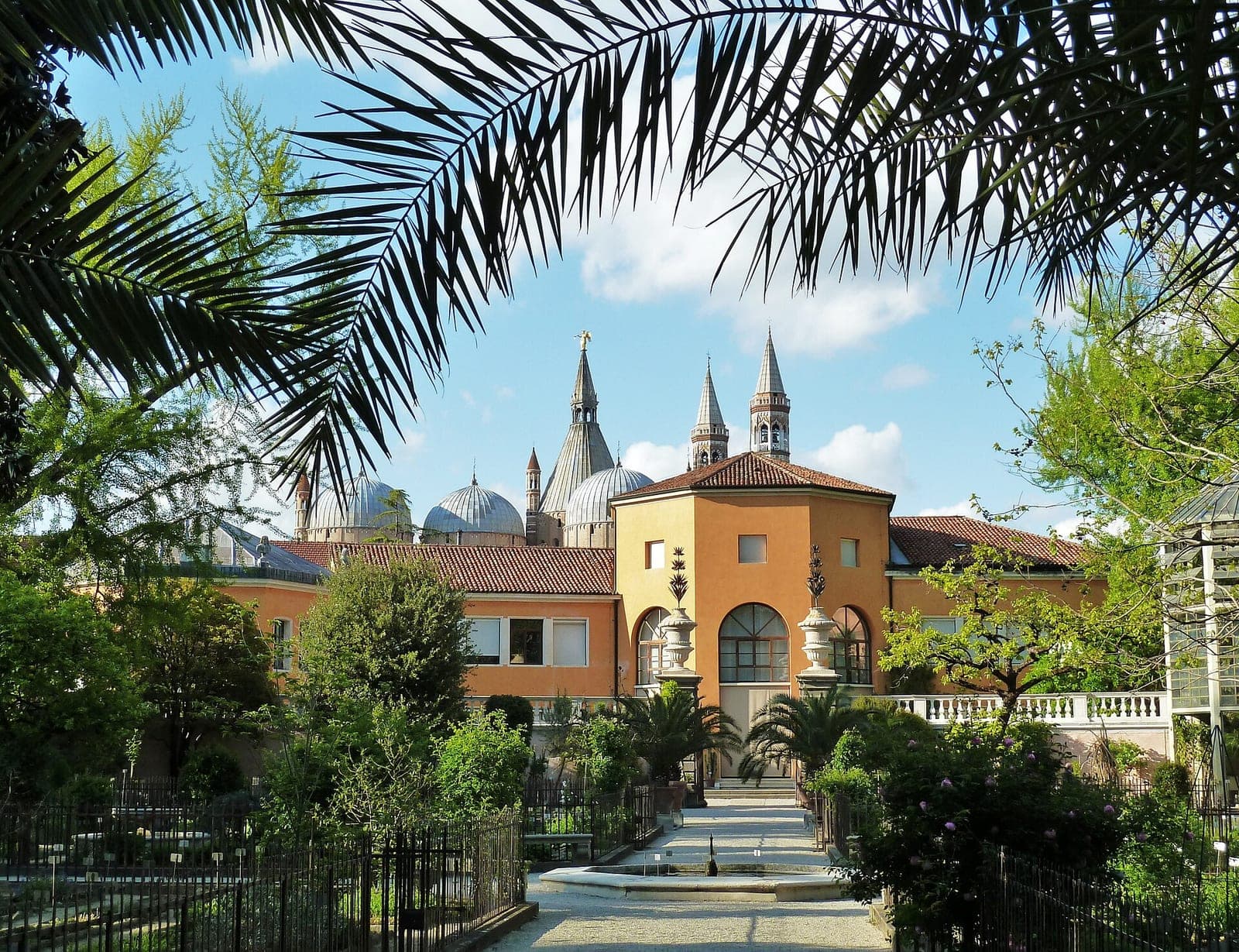 L'Orto botanico di Padova (Giardino botanico)