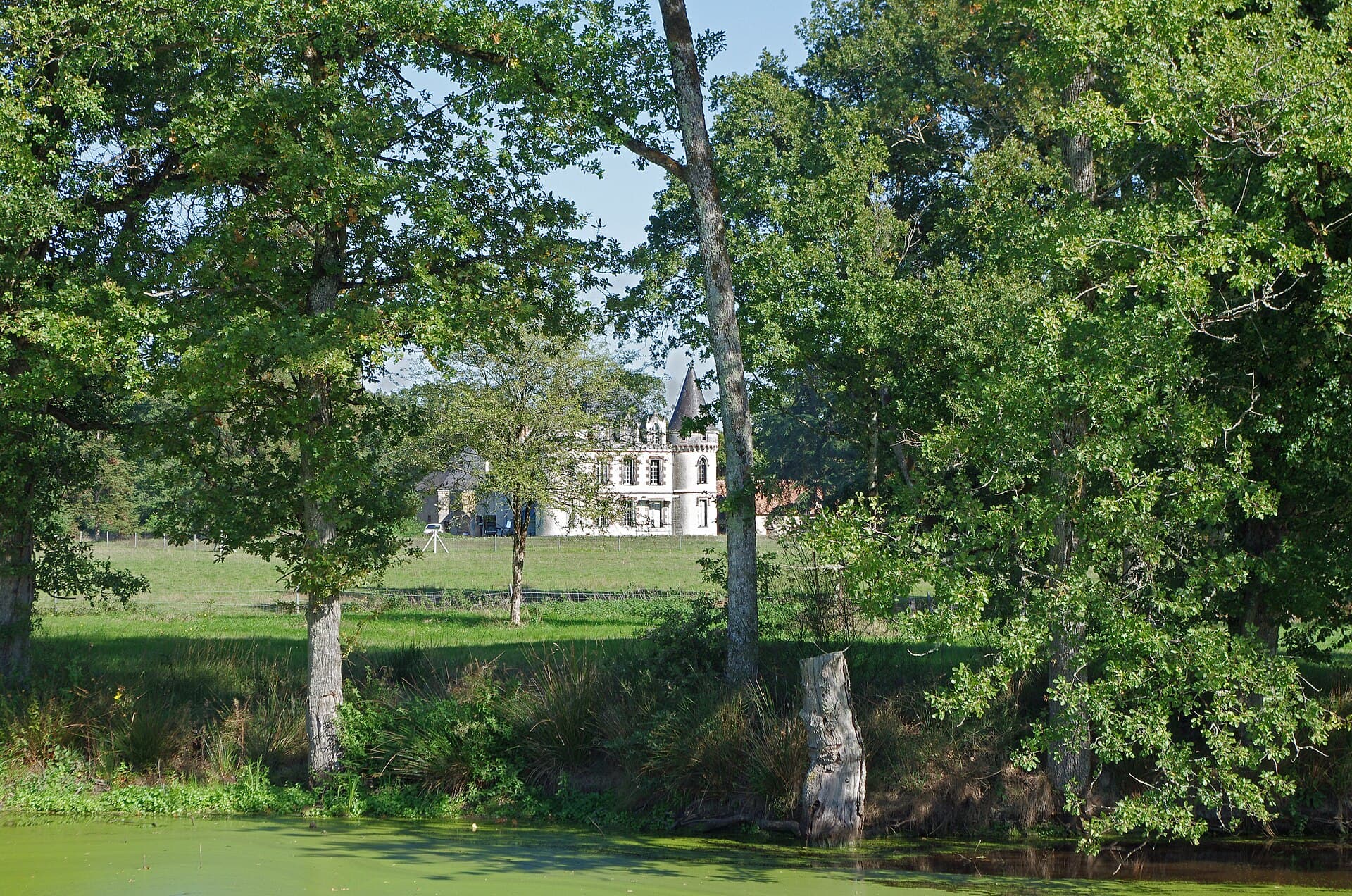Manoir de Luynes — château à Luynes, Indre-et-Loire, classé mh