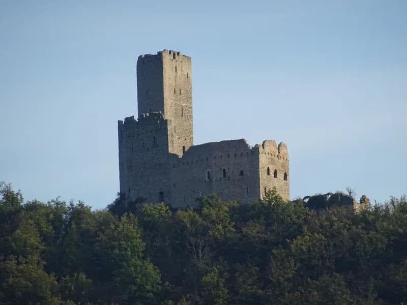 Château d'Ortenbourg — château à Scherwiller, Bas-Rhin, classé mh