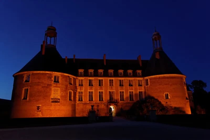 Château de Saint-Fargeau — château à Saint-Fargeau, Yonne, classé mh