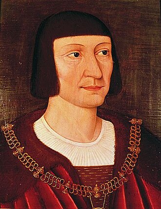 Portrait de Pierre Terrail de Bayard