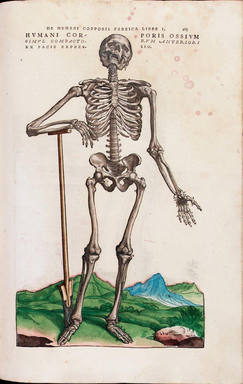 https://images.openai.com/static-rsc-4/LOsLCZU6MlTCokVzz6Icv7a7CFaSsCpSiRO_Oqlxr5vnIzrRMEIko89sb8DukCFewF1LuYufTe5-42BEbsxr_SbDj-gLpzQ_OyRjL8GW8H5YafRbso72ilZBV1ypxcrkZ1eyFumanFFg7gDBAjT75TGpLC9iCQxyiiuyzOhitU2X0hzsF2ondUxF4MJFx_Wg?purpose=fullsize