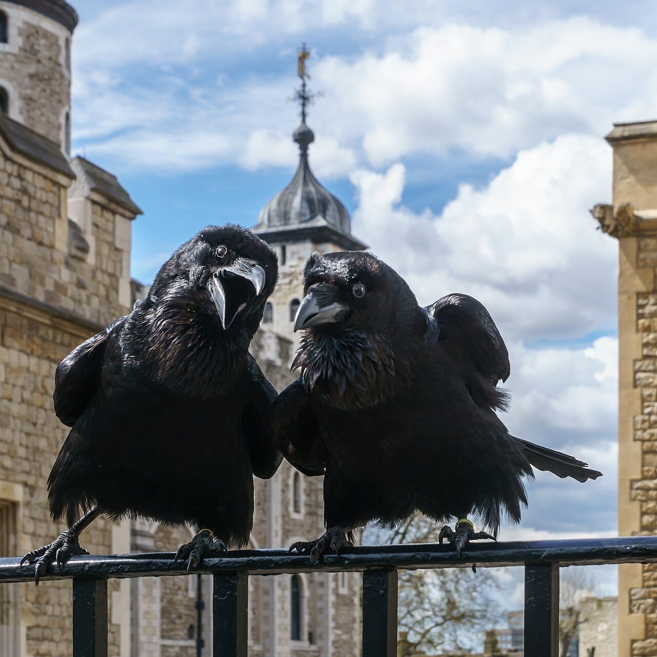 The Tower of London