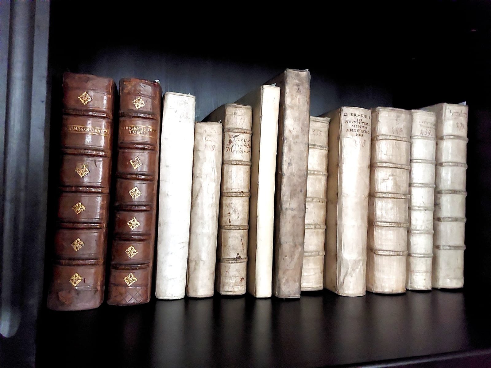 Les livres enchaînés de la Librije, bibliothèque de la Walburgiskerk à Zutphen