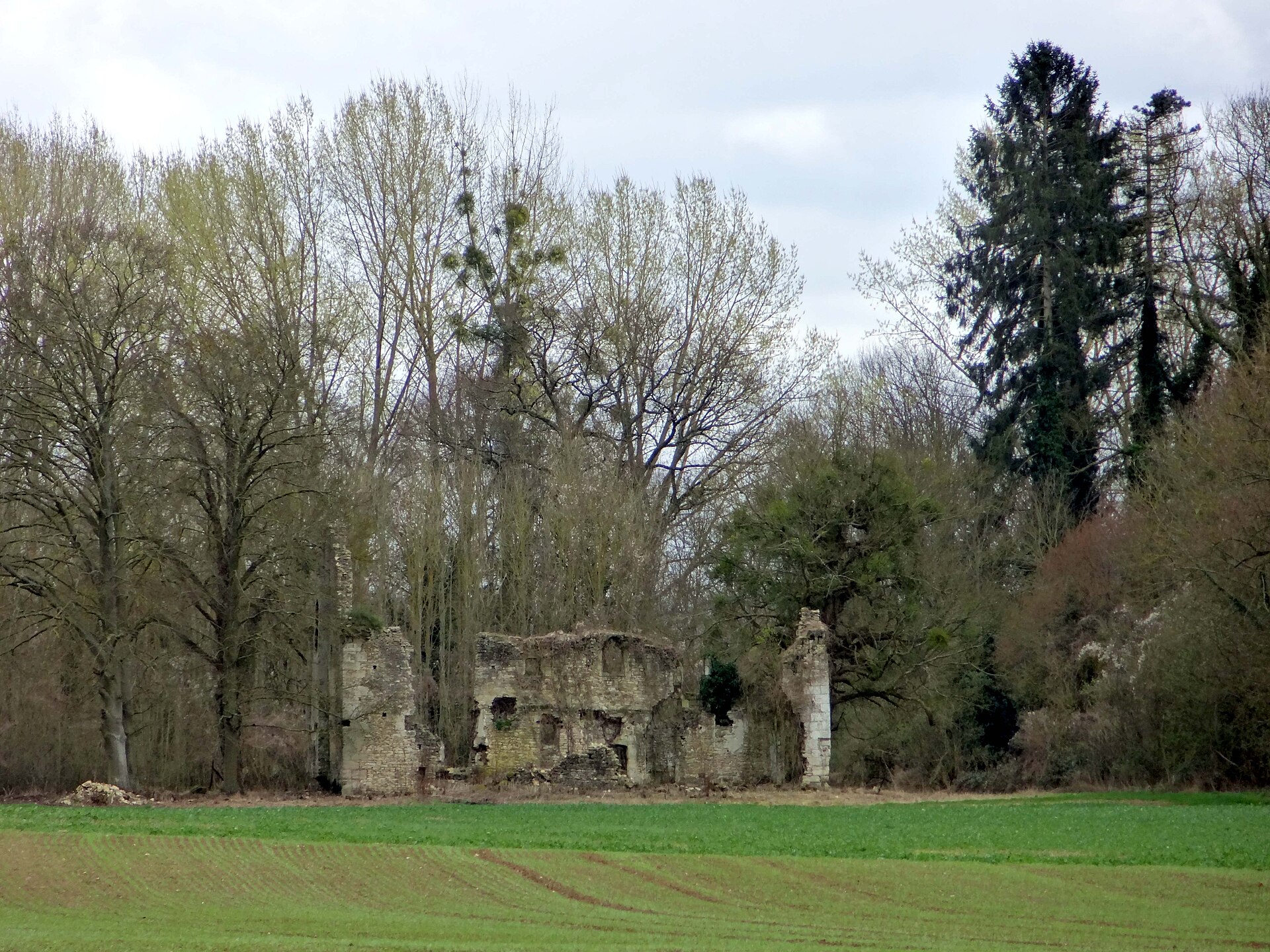 Château (ancien) dit Le Cabin