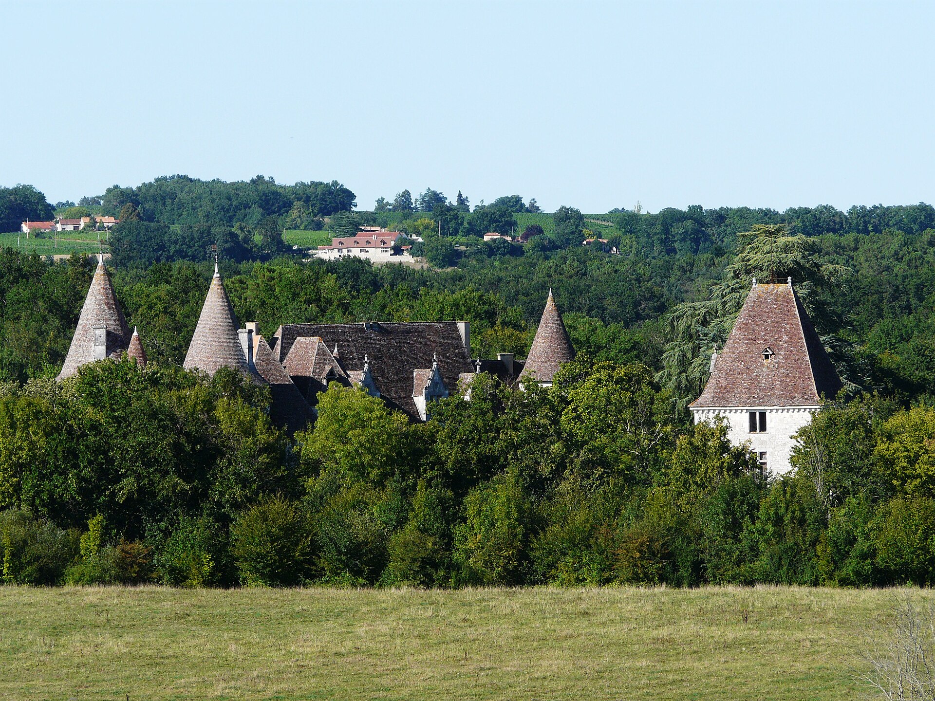 Château de Bridoire
