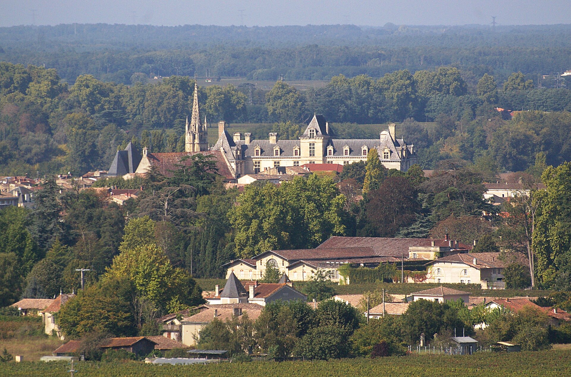 Château de Cadillac