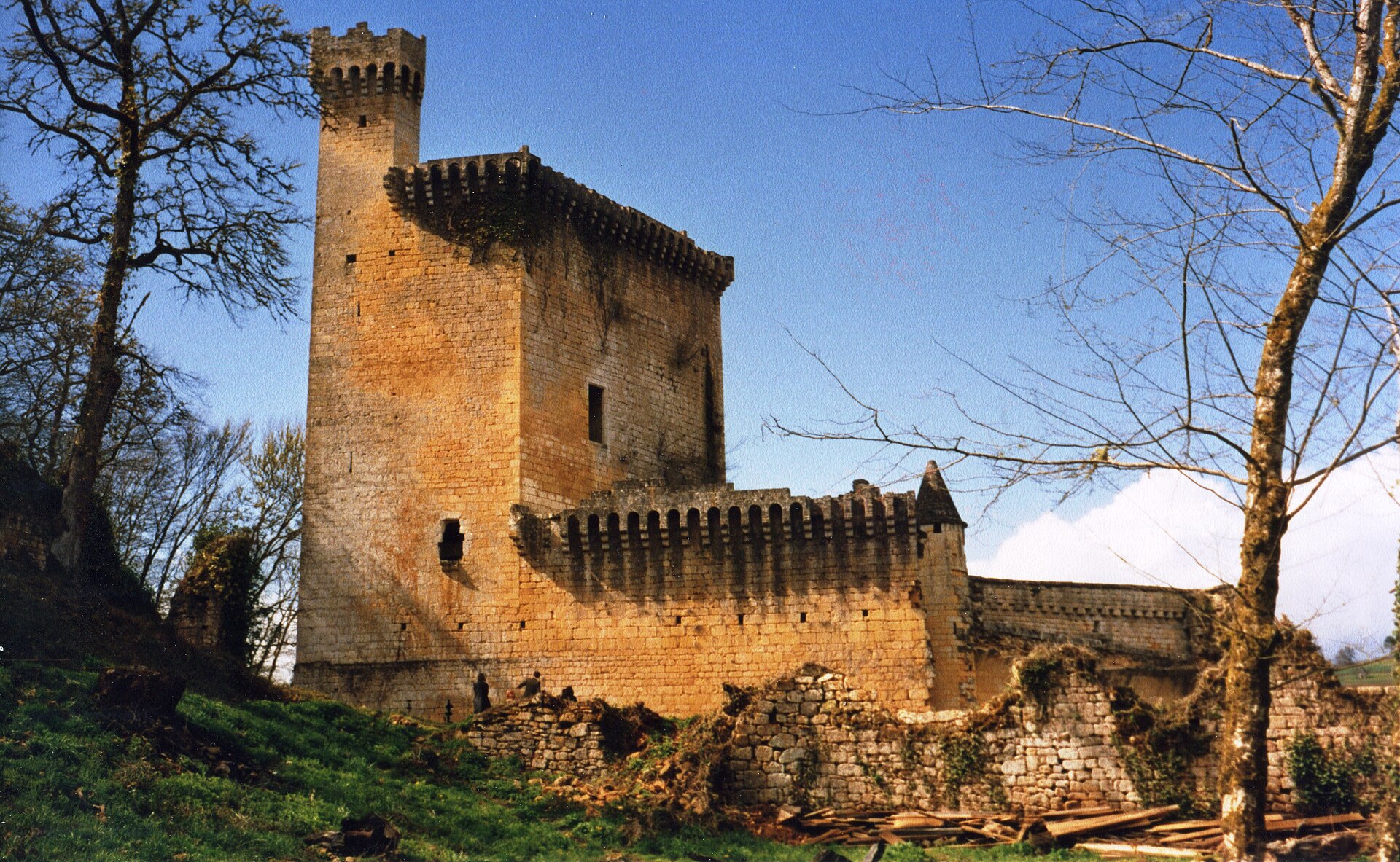 Château de Commarque