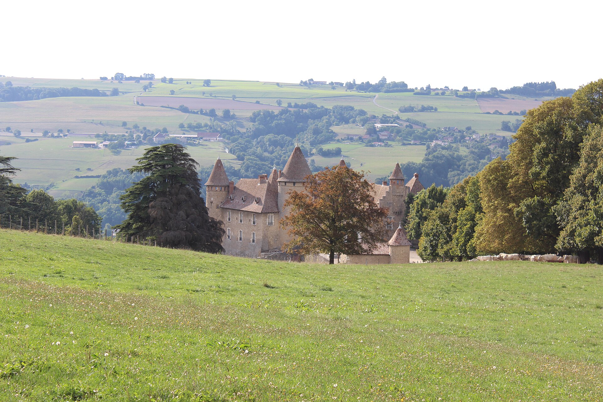 Château de Virieu — château à Virieu, Isère, inscrit mh
