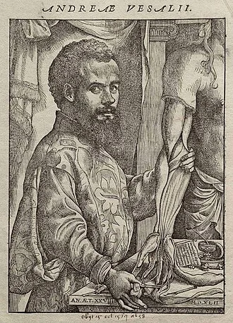 André Vesale