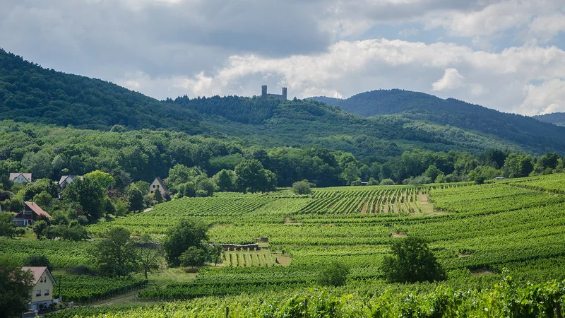 Château d'Andlau — château à Andlau, Bas-Rhin, intérieur, classé mh