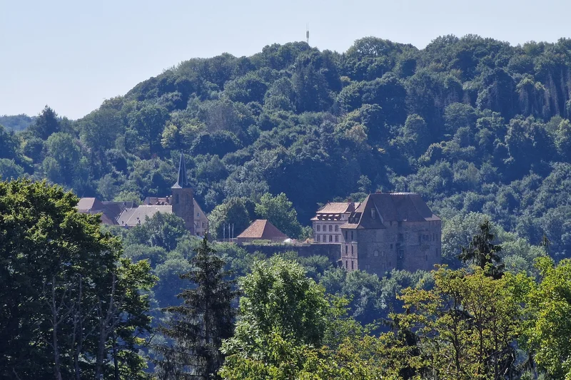 Château de la Petite-Pierre (La Petite-Pierre) Château de la Petite-Pierre — château à La Petite-Pierre, Bas-Rhin, intérieur, classé mh