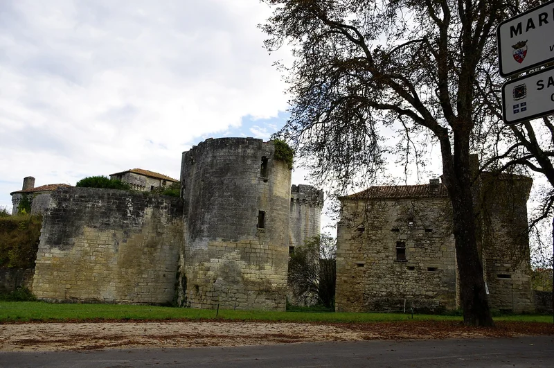 Château de Mareuil (Mareuil) Château de Mareuil — château à Mareuil, Dordogne, vue de nuit, inscrit mh