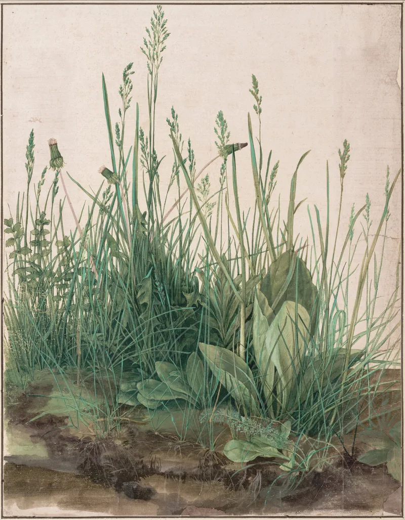 La Grande Touffe d'herbes