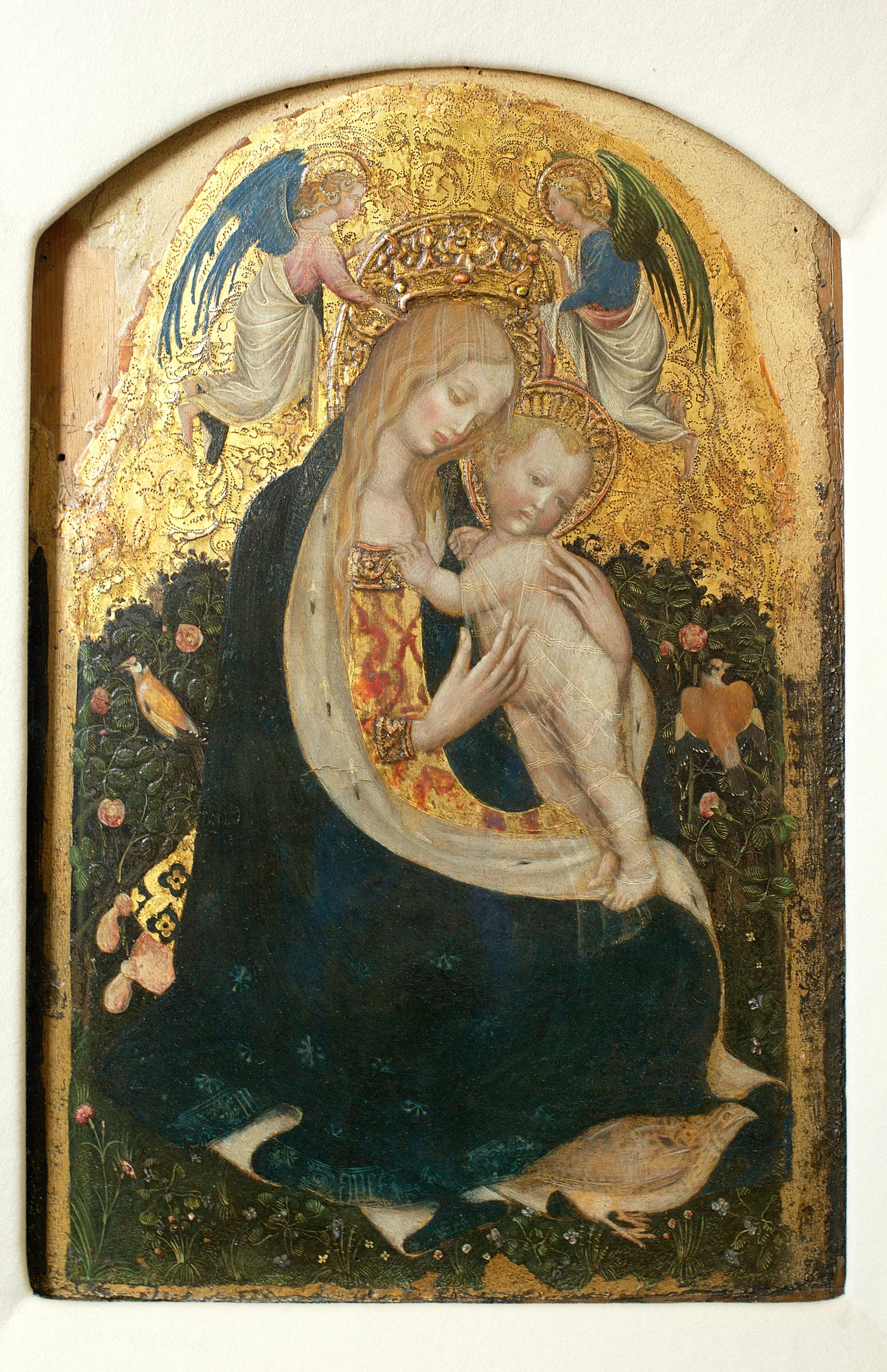 La Madonna della quaglia